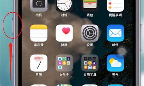 苹果手机强制重启方法iphoneX_苹果手机强制重启方法iphoneX